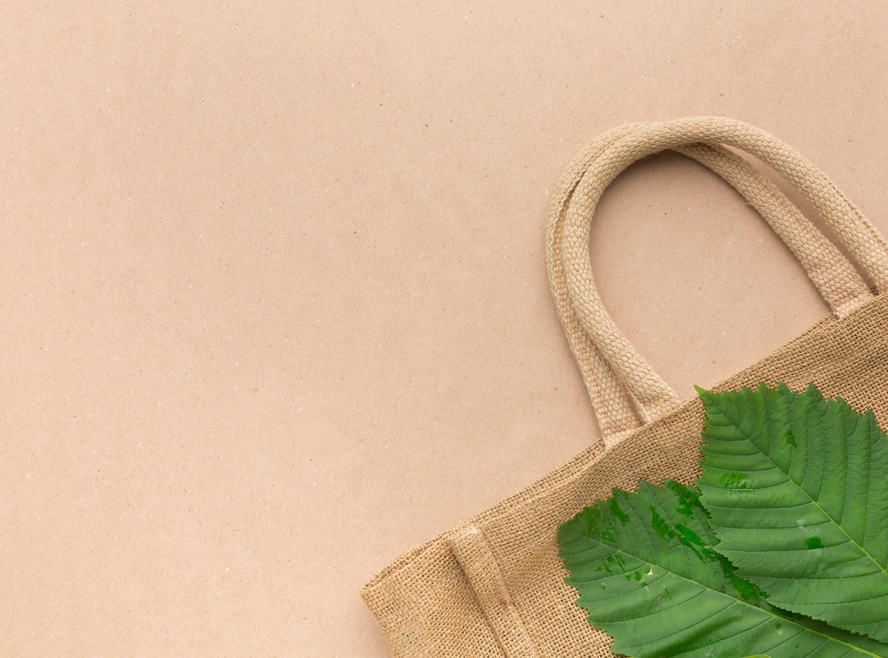 Ekologická taška s listom na pozadí, symbol rozšírenia sortimentu